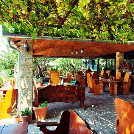 Vila Prezident Sremski Karlovci Exteriör bild