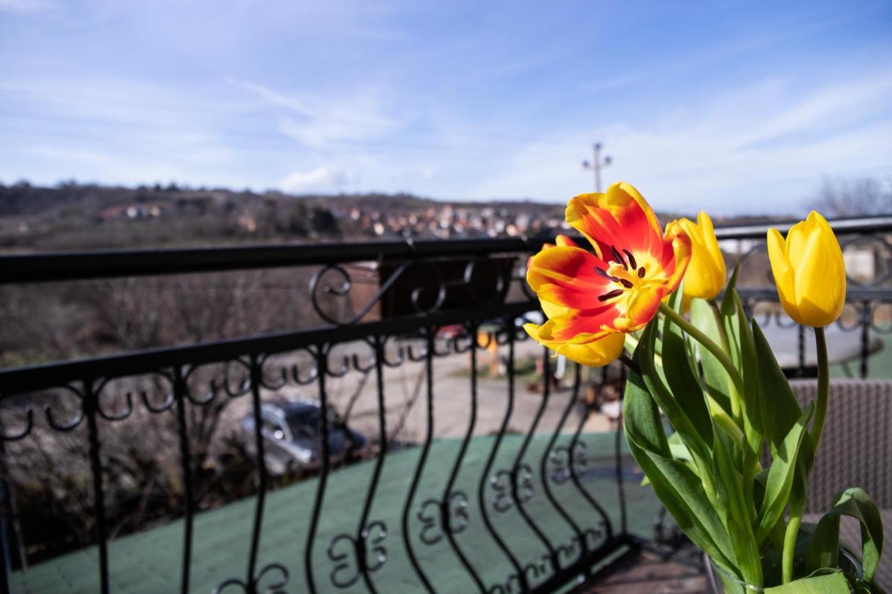Vila Prezident Sremski Karlovci Exteriör bild