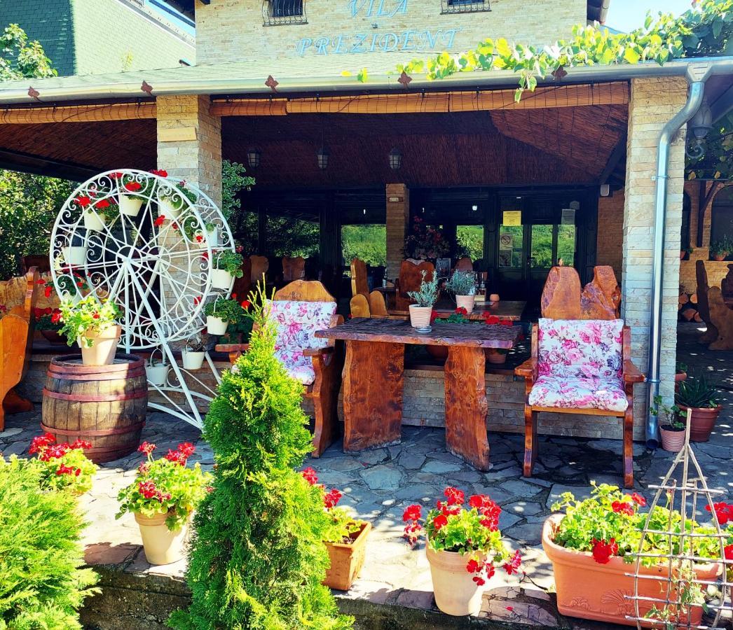 Vila Prezident Sremski Karlovci Exteriör bild
